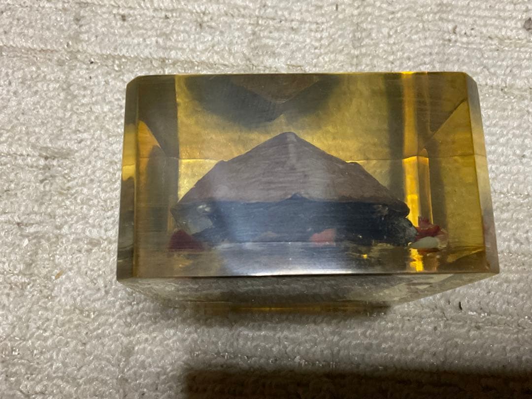 レジン亀／クサガメのレジン標本となります。【お土産品で購入した物