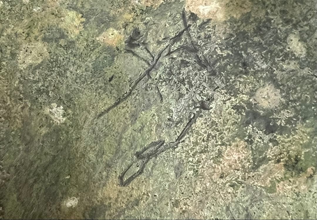 中国春秋時代の青銅器　 王子午鼎　中国古玩