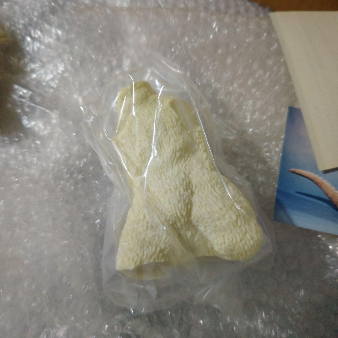 ゴジラ　酒井ゆうじ造型工房　南海ゴジラ出現　ガレージキット　未組立