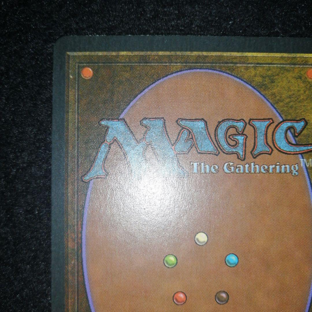 MTG　Scrubland　イタリア語1枚　3ED版　ゆうゆうメルカリ便発送