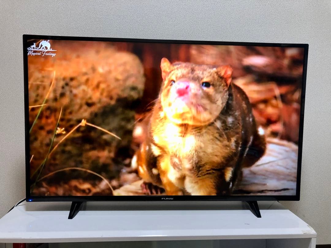 FUNAI 43V型 4K対応液晶テレビFL-43U3040 2022年製