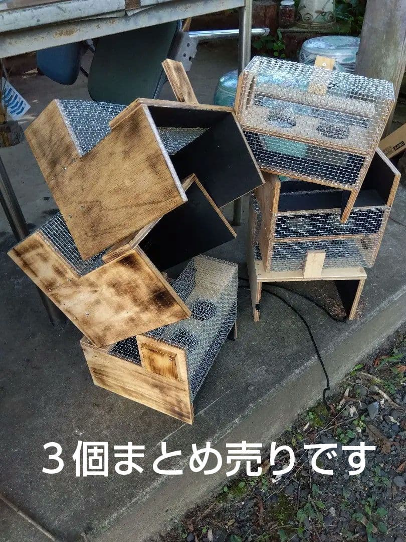 スズメバチ生捕りトラップ ３個 スズメバチ捕獲器 3個まとめ 生捕り トラップ 【公式通販】