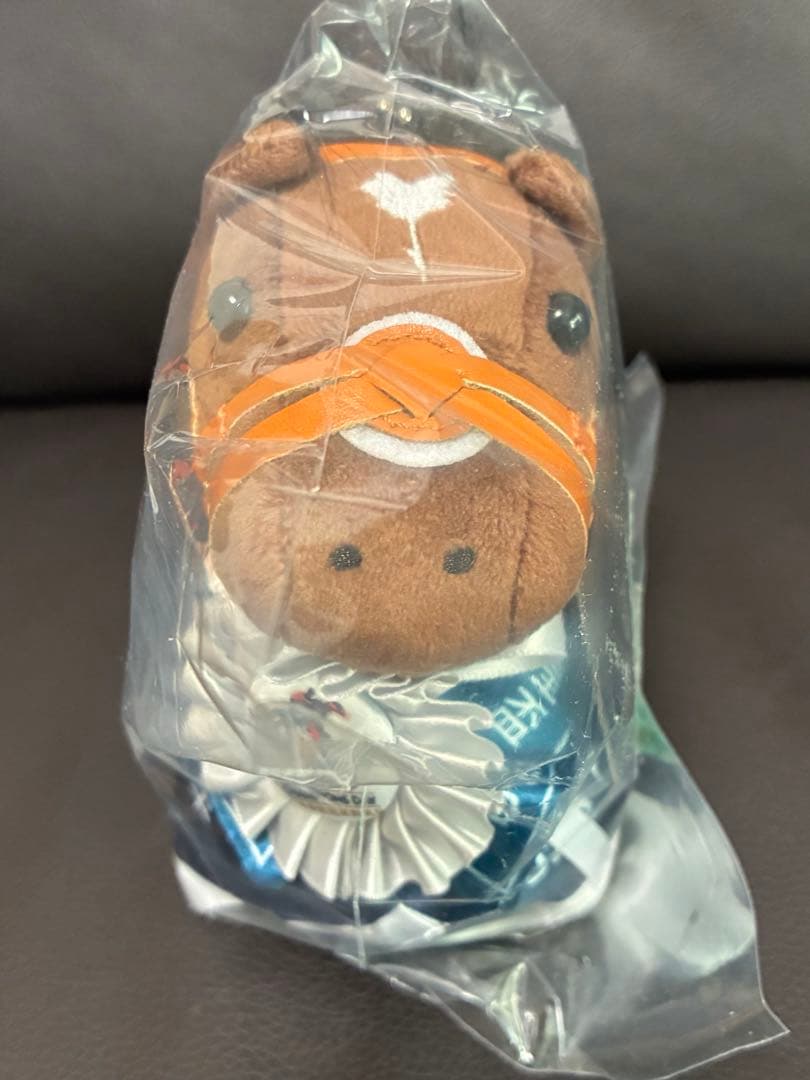 アイドルホース　タスティエーラ　クイーンエリザベスII世カップ