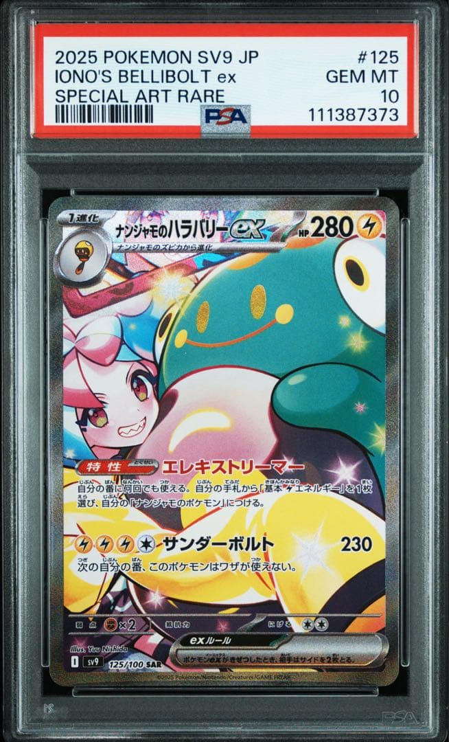 はっちCS EXPO 2025 上位賞 プレイマット(花札) 参加賞 セット