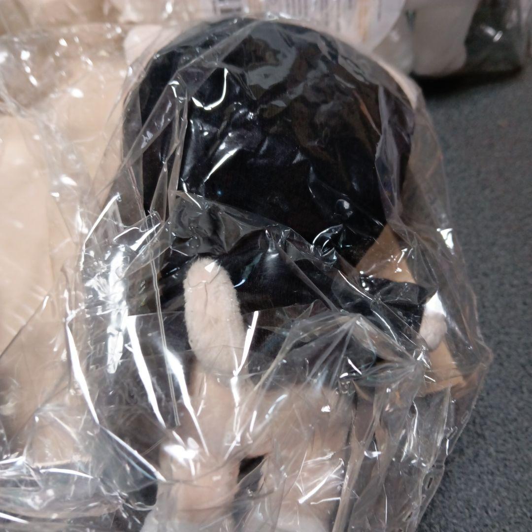 Stray Kids SKZOO FoxI.Ny アイエンぬいぐるみマスコット