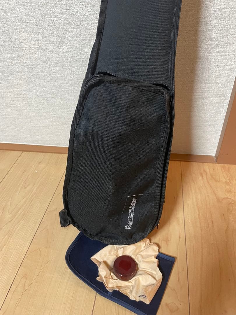 【極美品】バイオリン イーストマン VL80 1/16 2015年