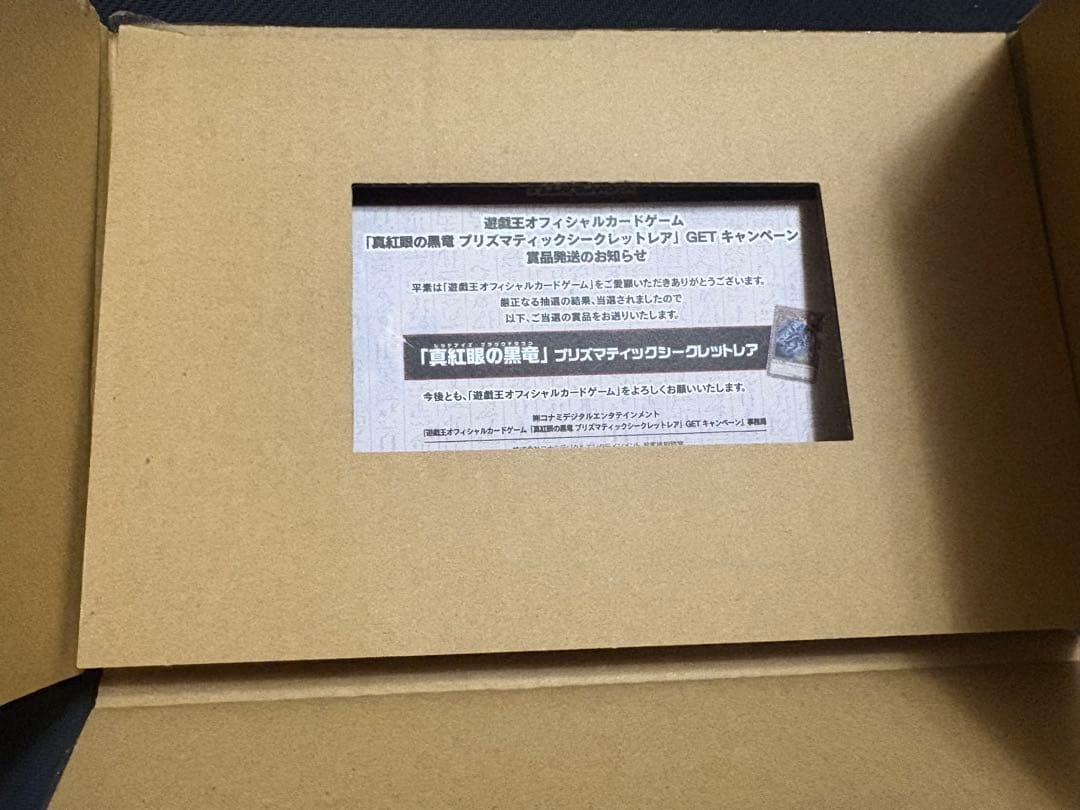 レッドアイズブラックドラゴン　プリズマ 真紅眼の黒竜　プリシク　psa10