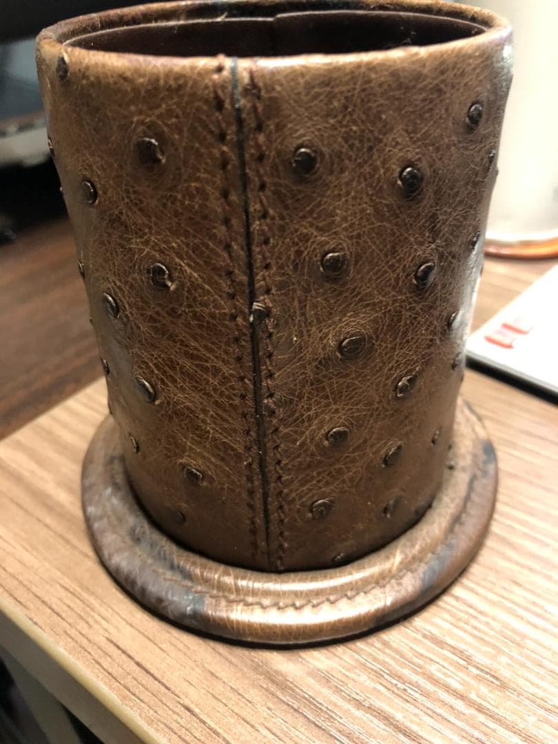 ◆164◆GUCCI　オーストリッチ ペンホルダー