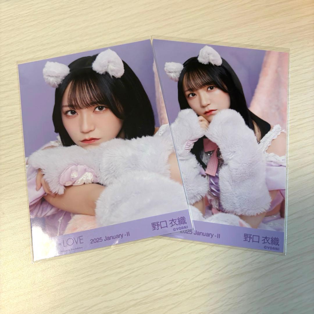 イコラブ 野口衣織 生写真 猫 - メルカリ