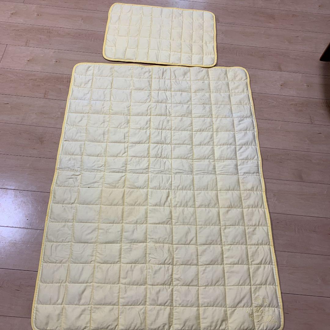 野口 賢 M.NOGUCHI マンドリン ショップ ハードケース付属 弦楽器 レア