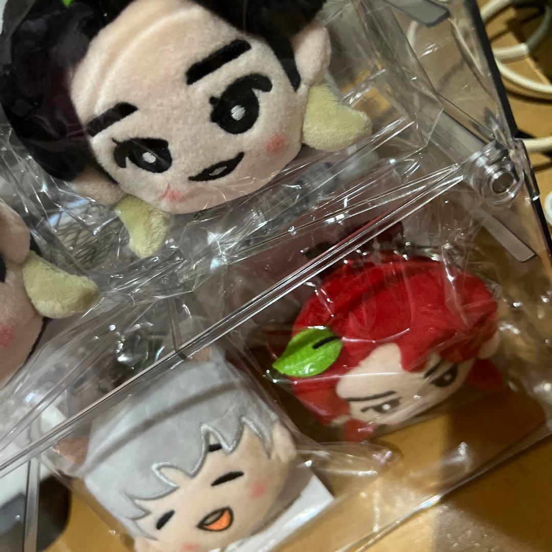 Mrs. GREEN APPLE 韓国公演3点セット