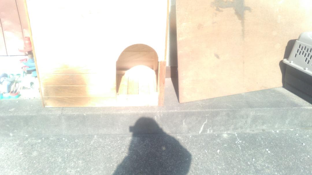 犬小屋手作りヒノキ使用愛犬が一度も入りません上部フタ取り外し可埼玉引取