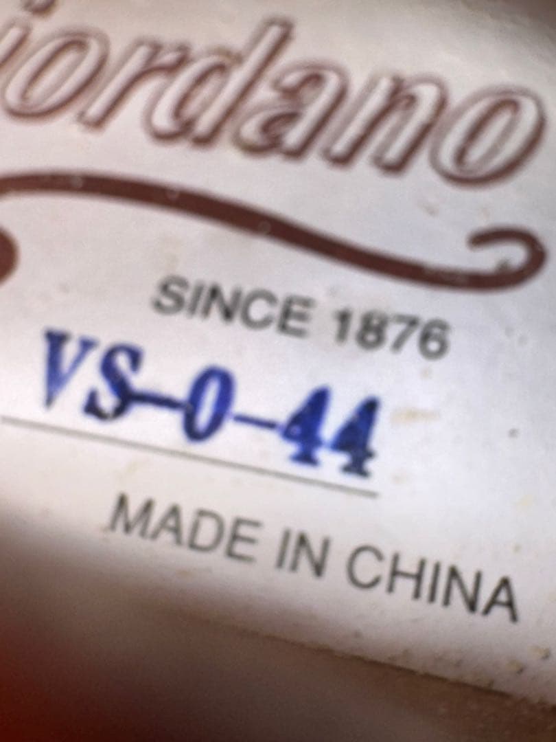 Carlo giordano バイオリン VS-0-44 4/4 フルサイズ