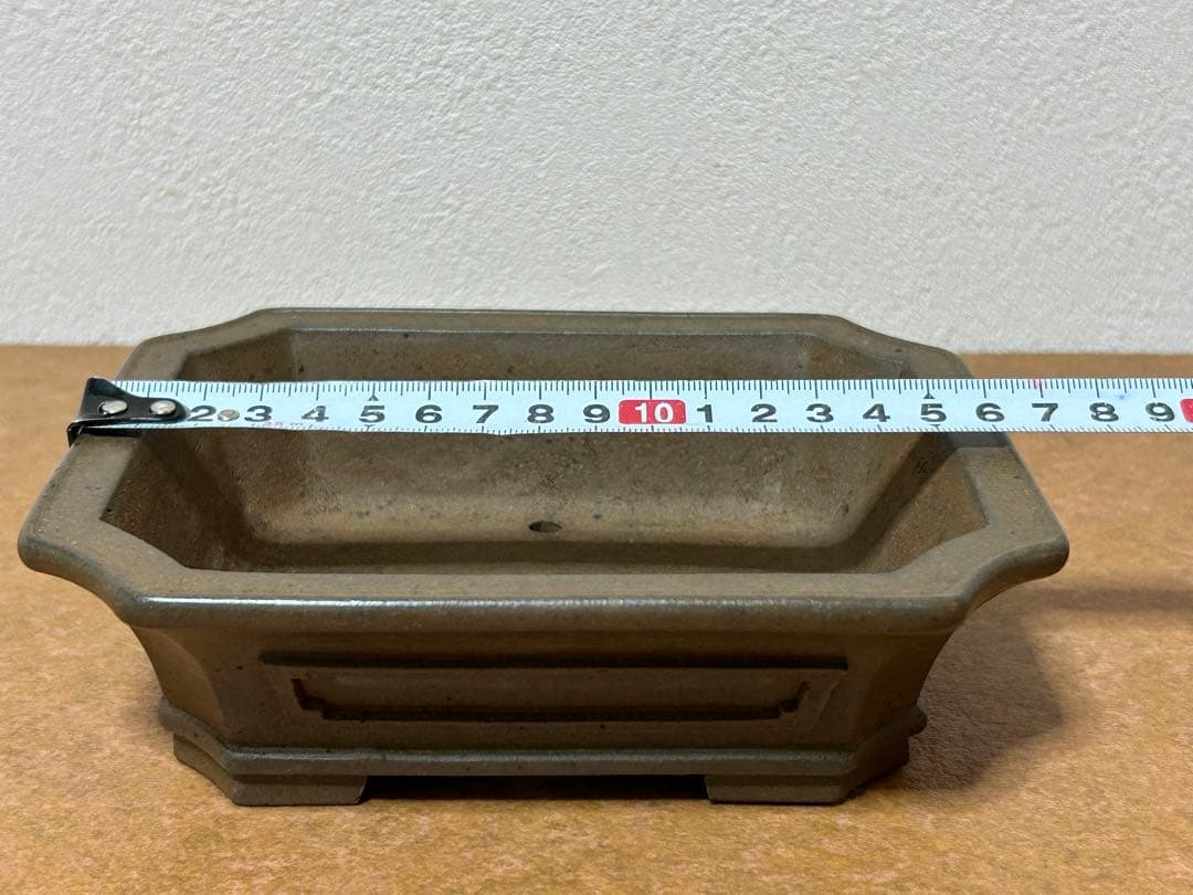 小松泉　秋静庵　小品盆栽　山野草