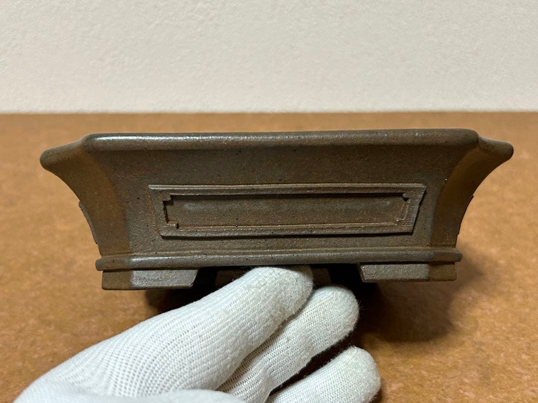 小松泉　秋静庵　小品盆栽　山野草