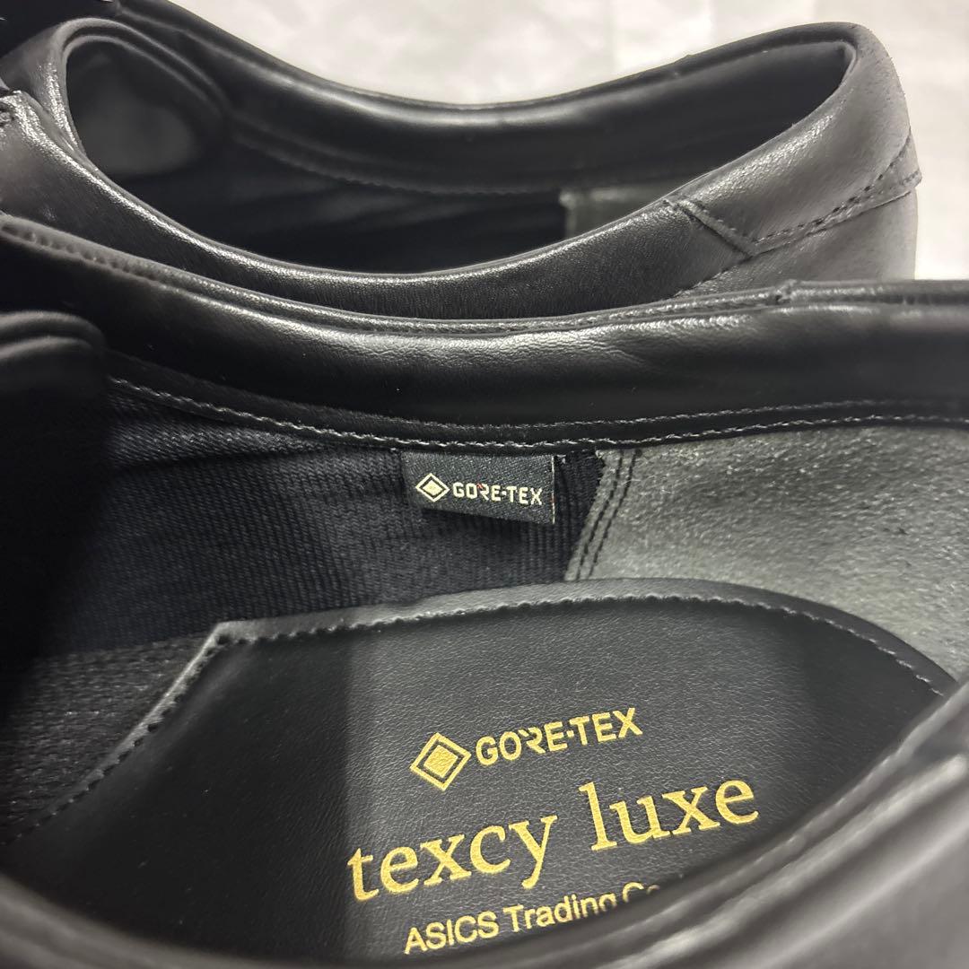 テクシーリュクスTU-8002 29cm 本革 ゴアテックス　3e