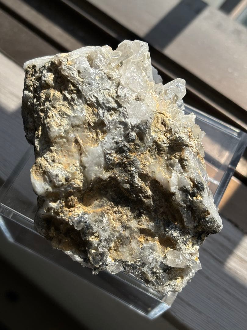 MGM【オールドストック・証明書あり】 メロディグリーンマイン