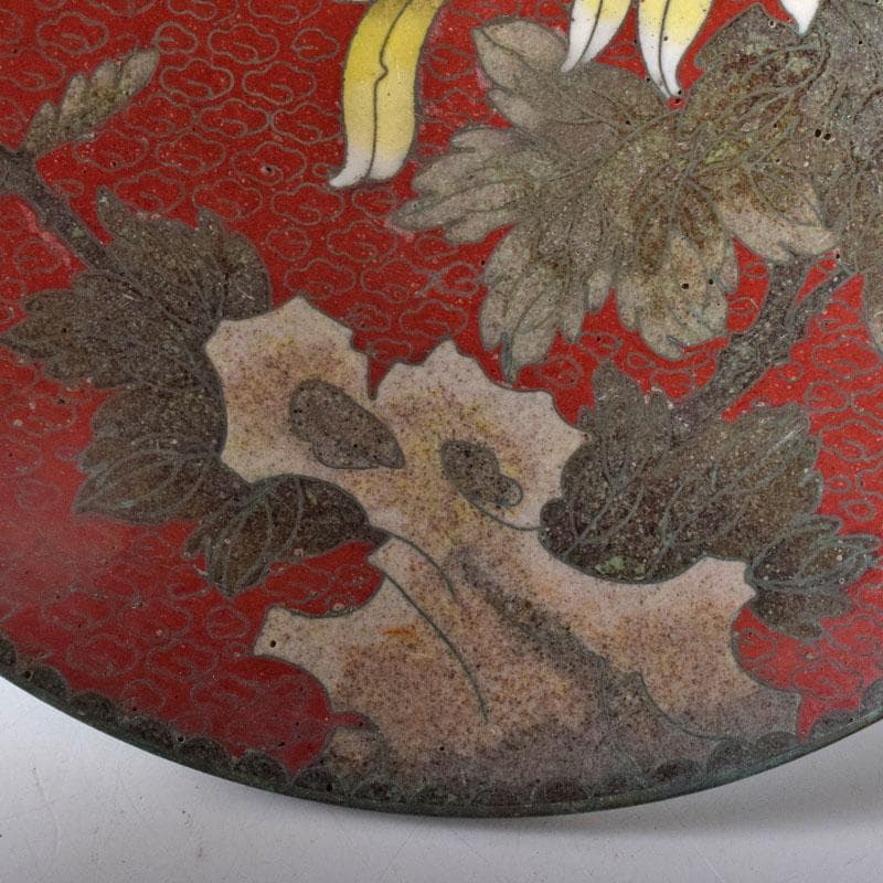 中国 古七宝琺瑯彩 花蝶文盤 皿 V R8772 上海 香港