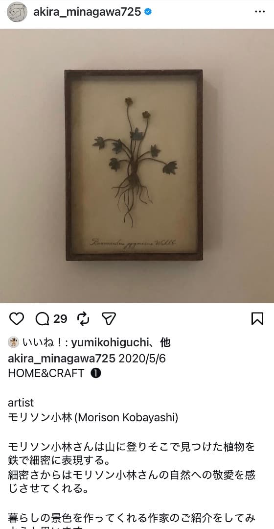 モリソン小林 morison kobayashi 金属のフウラン風蘭 オブジェ - メルカリ