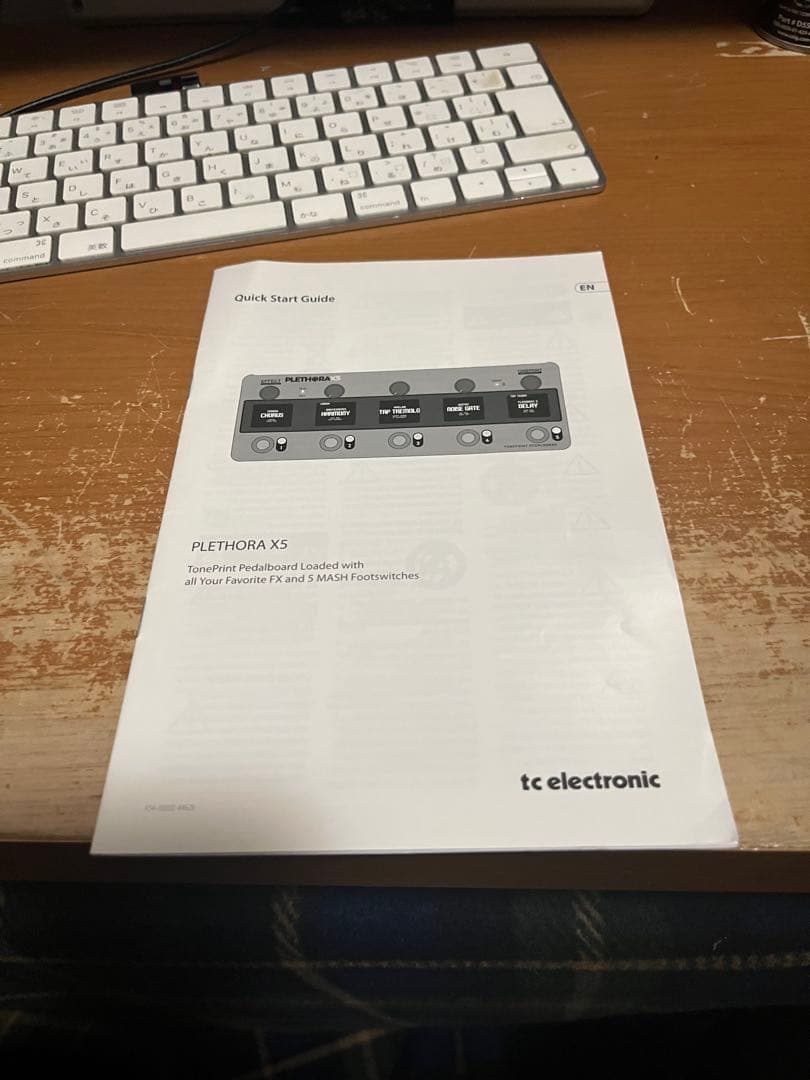 tc electronic PLETHORA X5 エフェクターライザー付き