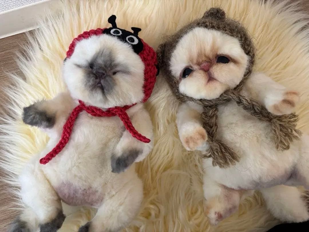 海外作家様作 アートドール 猫の赤ちゃん2体セット - メルカリ