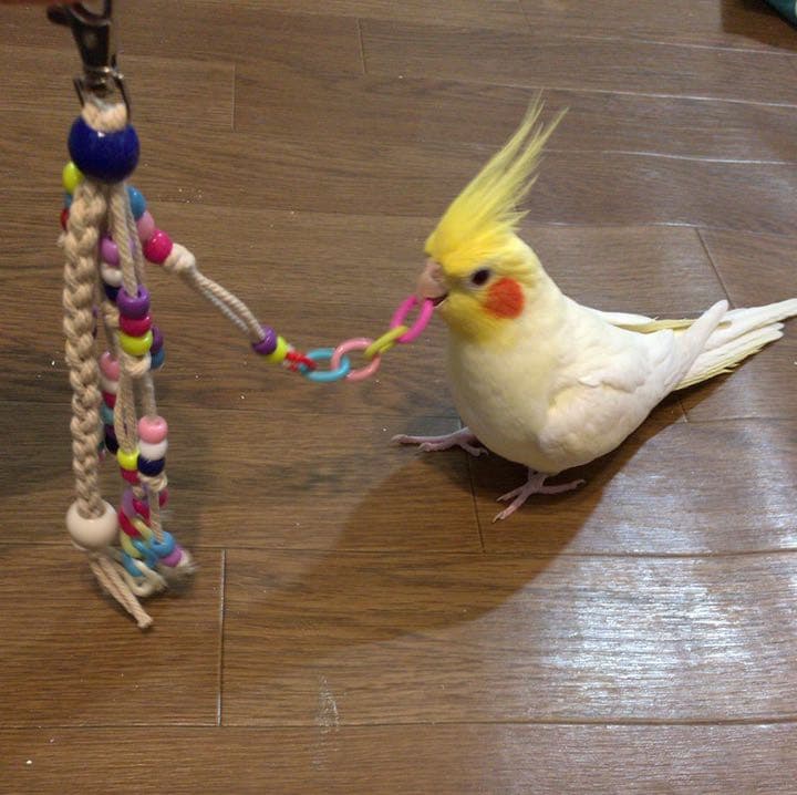 ハンドメイド インコのおもちゃ、止まり木 オーダーページ UP
