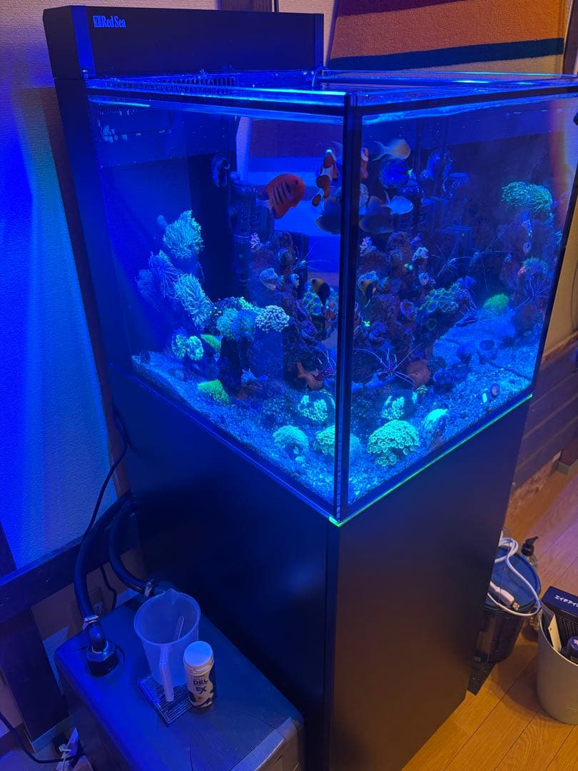 レッドシー MAXシリーズ ペニシュラン 大阪から The MAX NANO G2