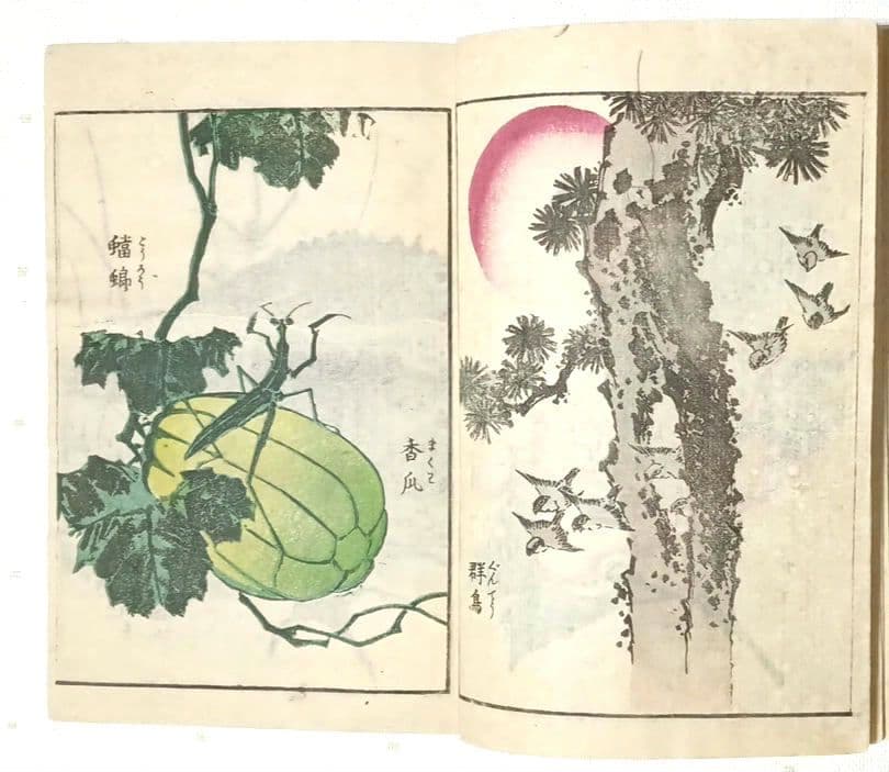 後摺多色刷り版画本傳神開手北斎画宛初編、葛飾北斎画、明治8年片野東