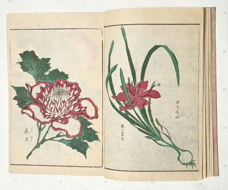 後摺多色刷り版画本傳神開手北斎画宛初編、葛飾北斎