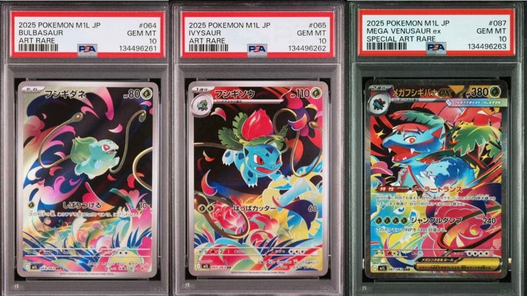 PSA10 3連番】メガフシギバナex SAR 進化ラインセット - メルカリ