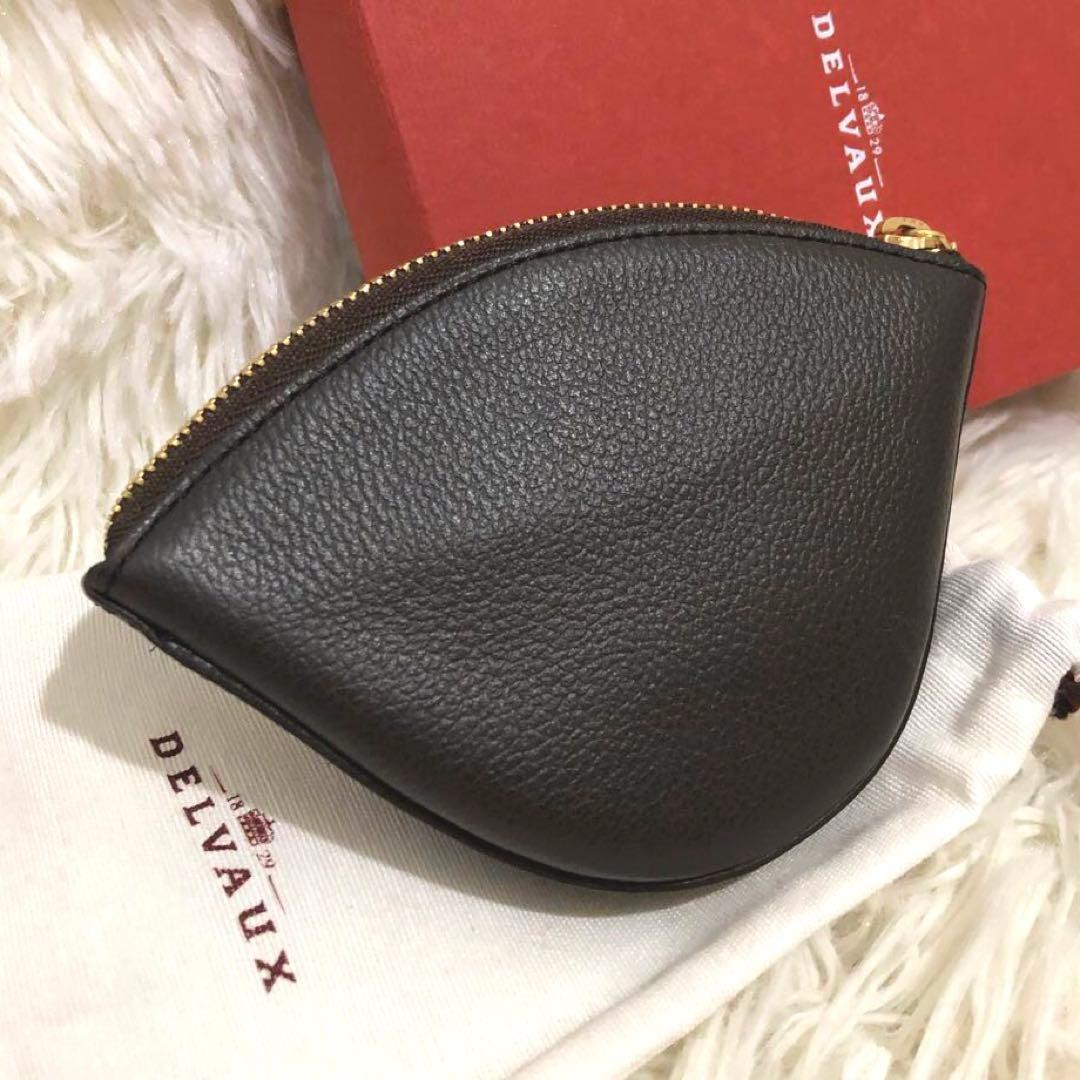 未使用✨デルヴォー レザー　ケース