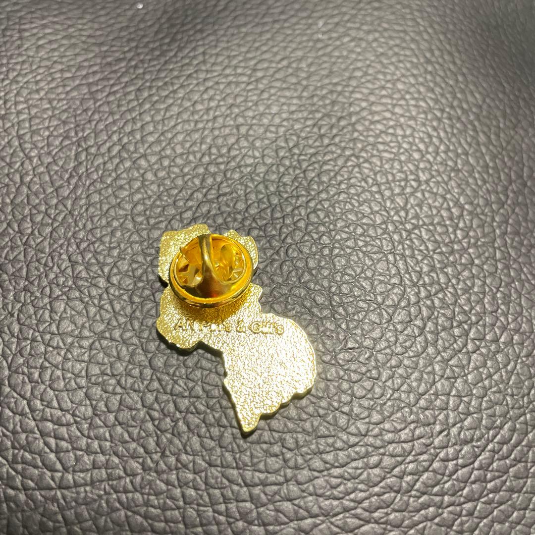 激レア！万博　ガイアナ　ピンバッジ　大阪関西万博　コモンズ