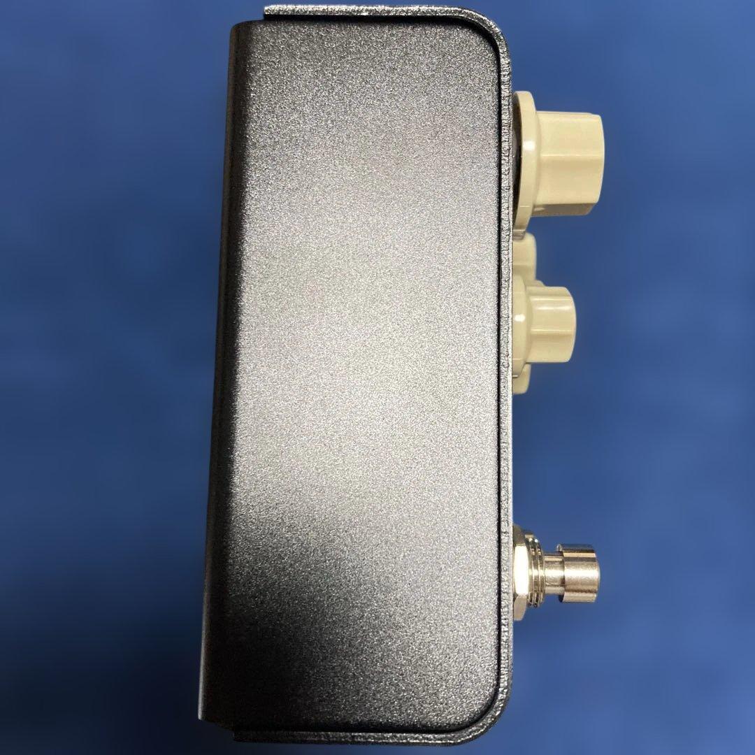 t*a様 Strymon FLINT v2トレモロ & リバーブ