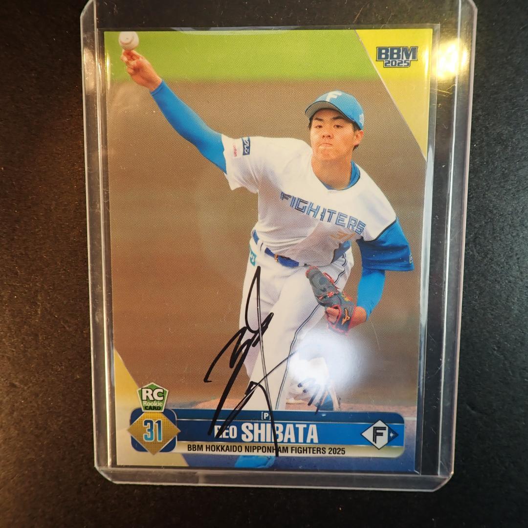 柴田獅子 直筆サイン ルーキーカード 日本ハム BBM 2025 F16 - メルカリ
