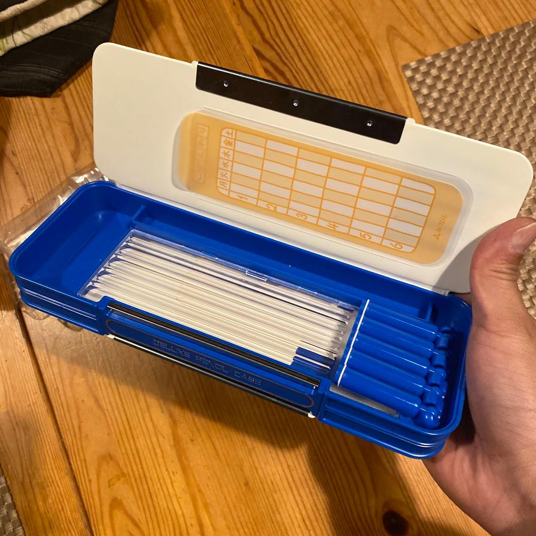 クラッシュ・バンディクー システム筆箱 平成レトロ 当時物 - メルカリ