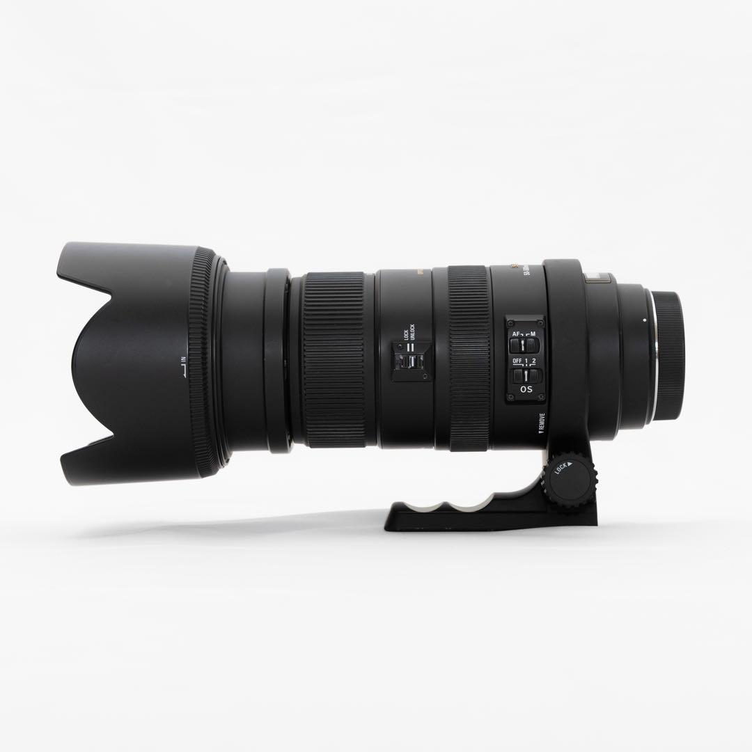 SIGMA DG 50-500mm F4.5-6.3 APO HSM キヤノン用