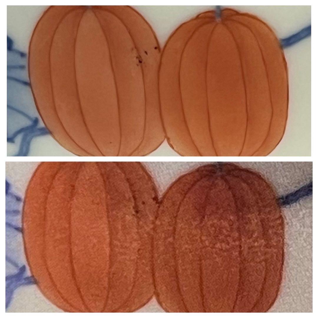 【真葛香山】色絵烏瓜図花瓶 二代 香半之助作 帝室技芸員【書載品現物】