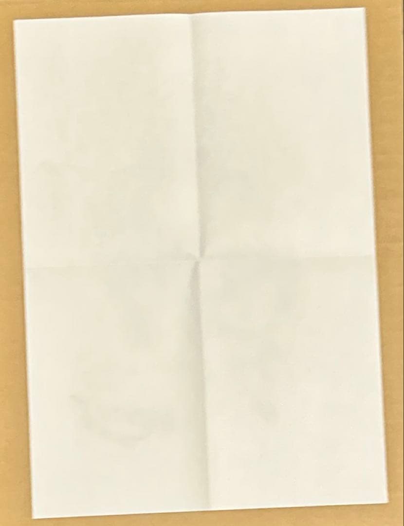 ヴァンパイア騎士　特典　原画　漫画　4つ折りペーパー