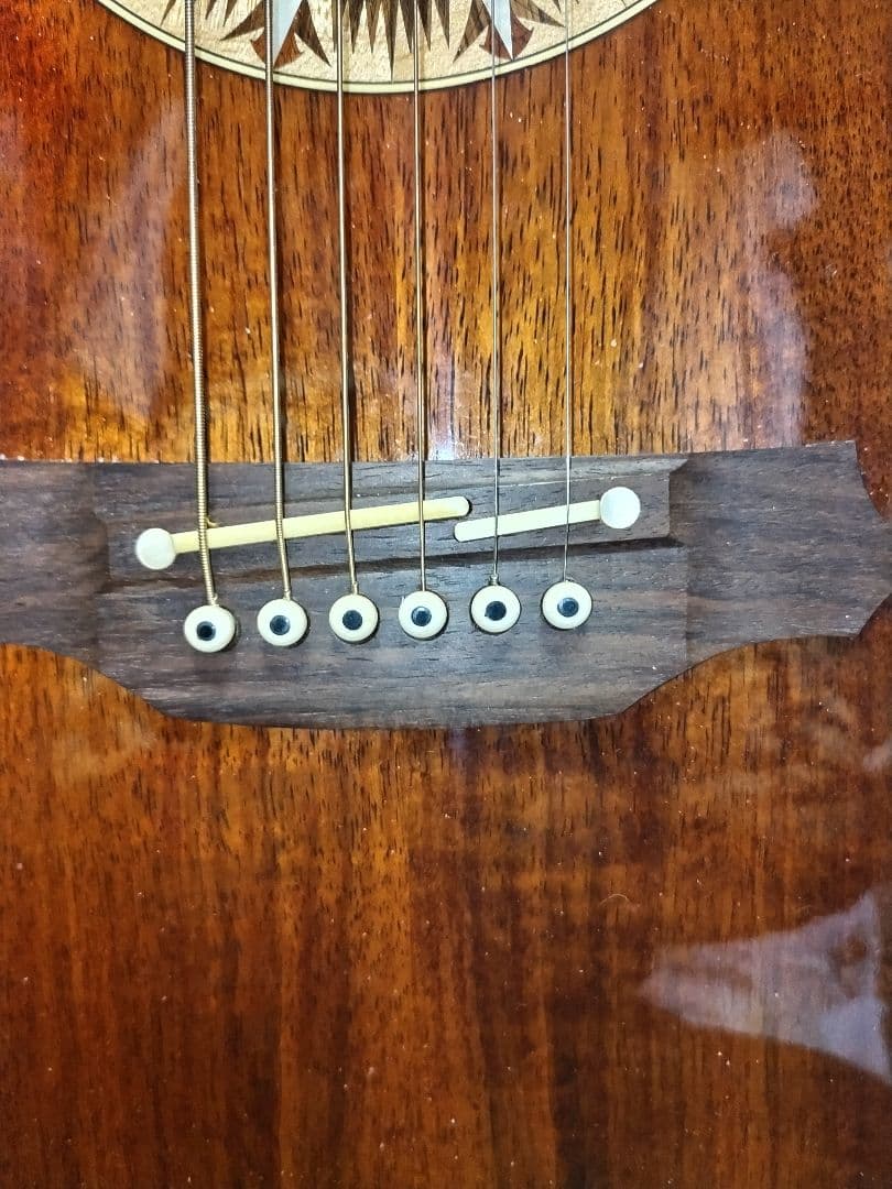 希少 限定品 Takamine L5 タカミネ エレアコ アコースティックギター