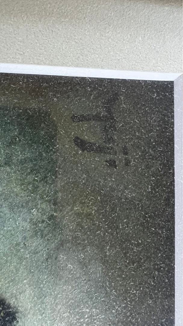 Yuji Ashik… の描いた猫 BARで飲む猫(人)