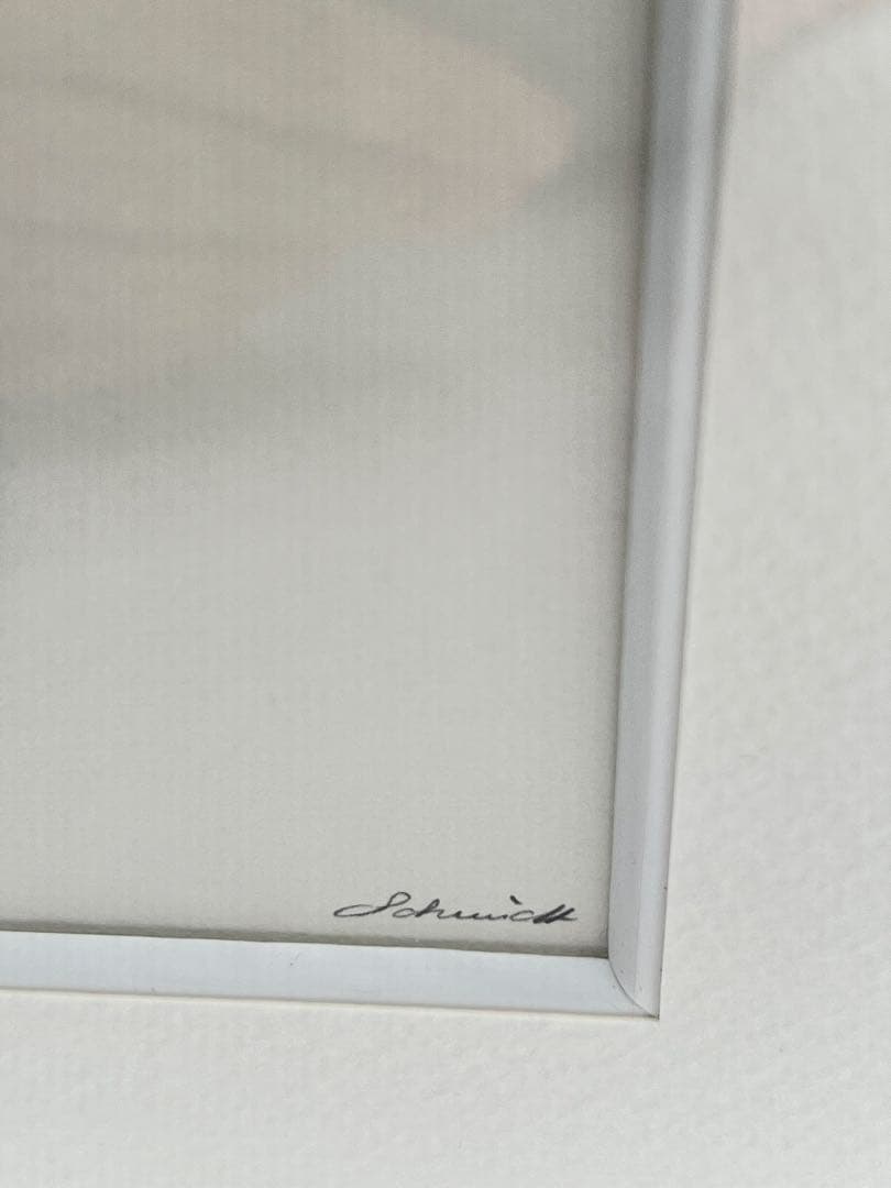 カメオ ゲルバルド・シュミット】額入り サイン入 - メルカリ