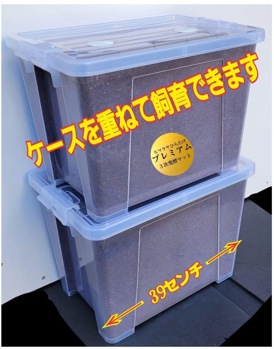 カブトムシ幼虫が巨大化！プレミアム3次発酵カブトムシマット【50L
