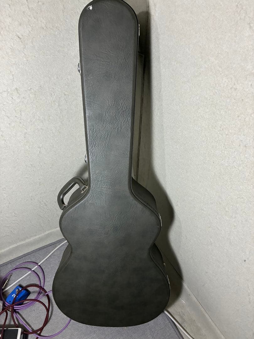 VG-00 寺田楽器 ギブソンタイプ