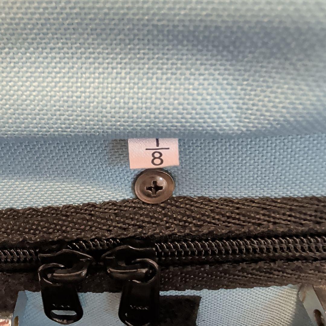 カルロジョルダーノ 1/8バイオリン本体・水色ケース付き