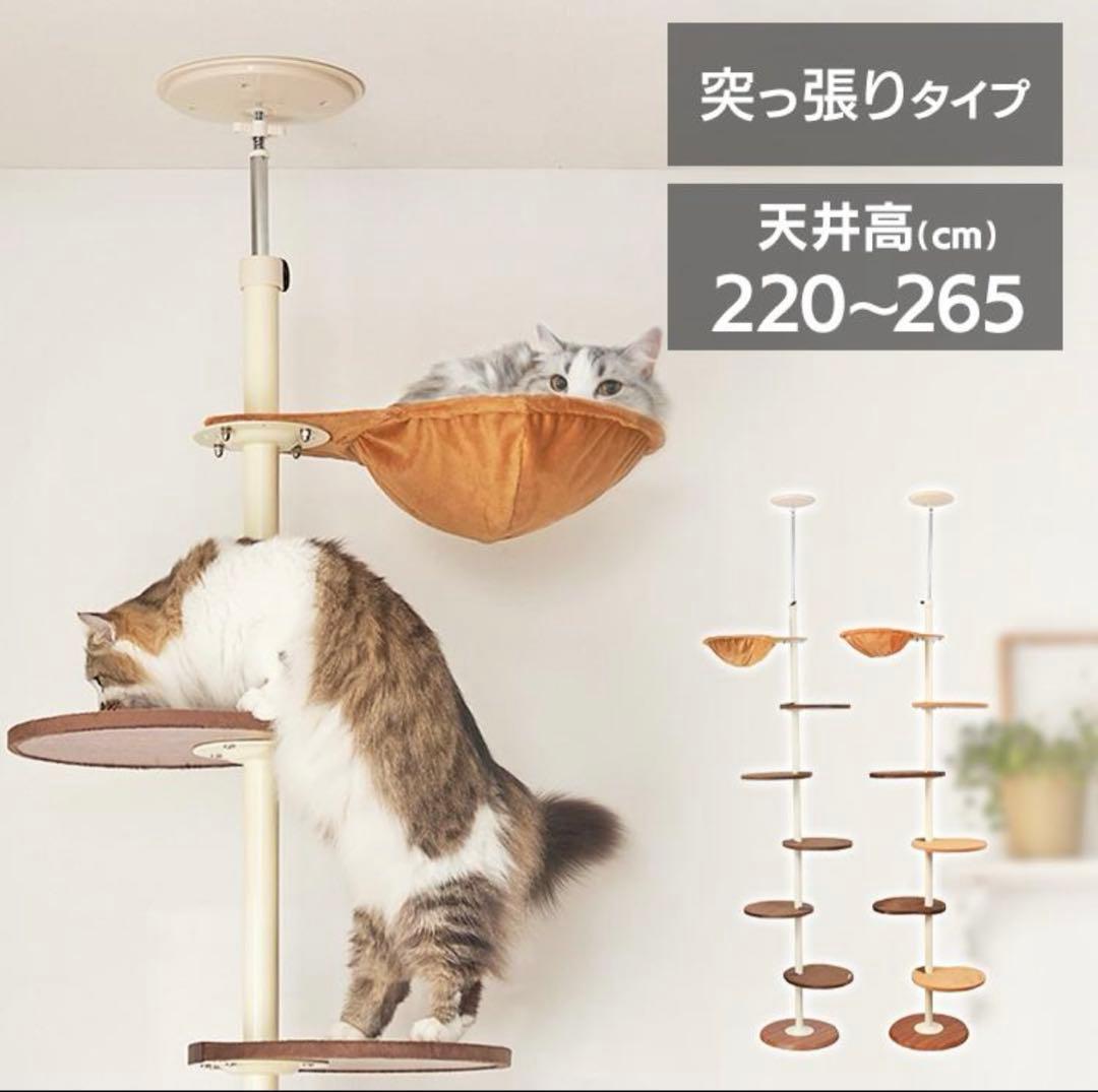 キャットタワー ボンビアルコン 木製 突っ張り 猫 タワー キャットポール