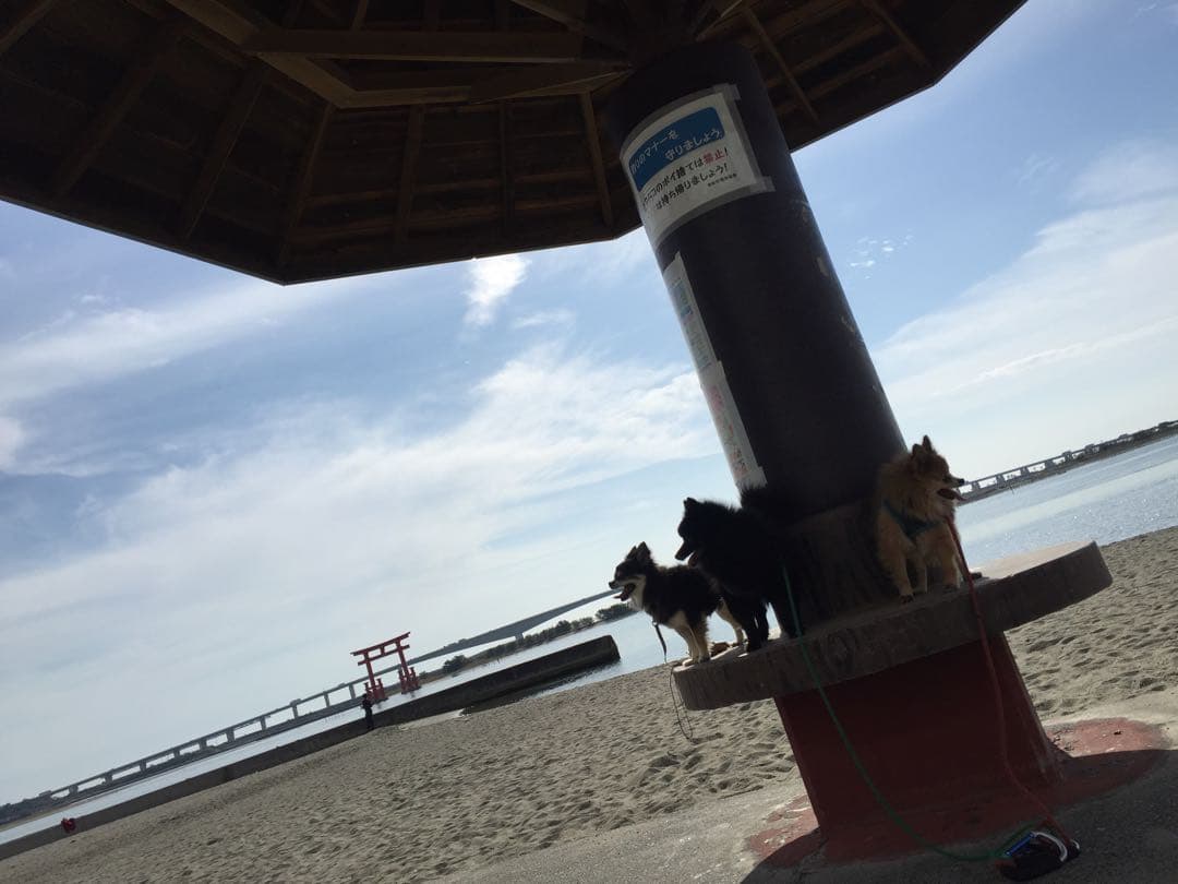 むぎまんま様確認用。