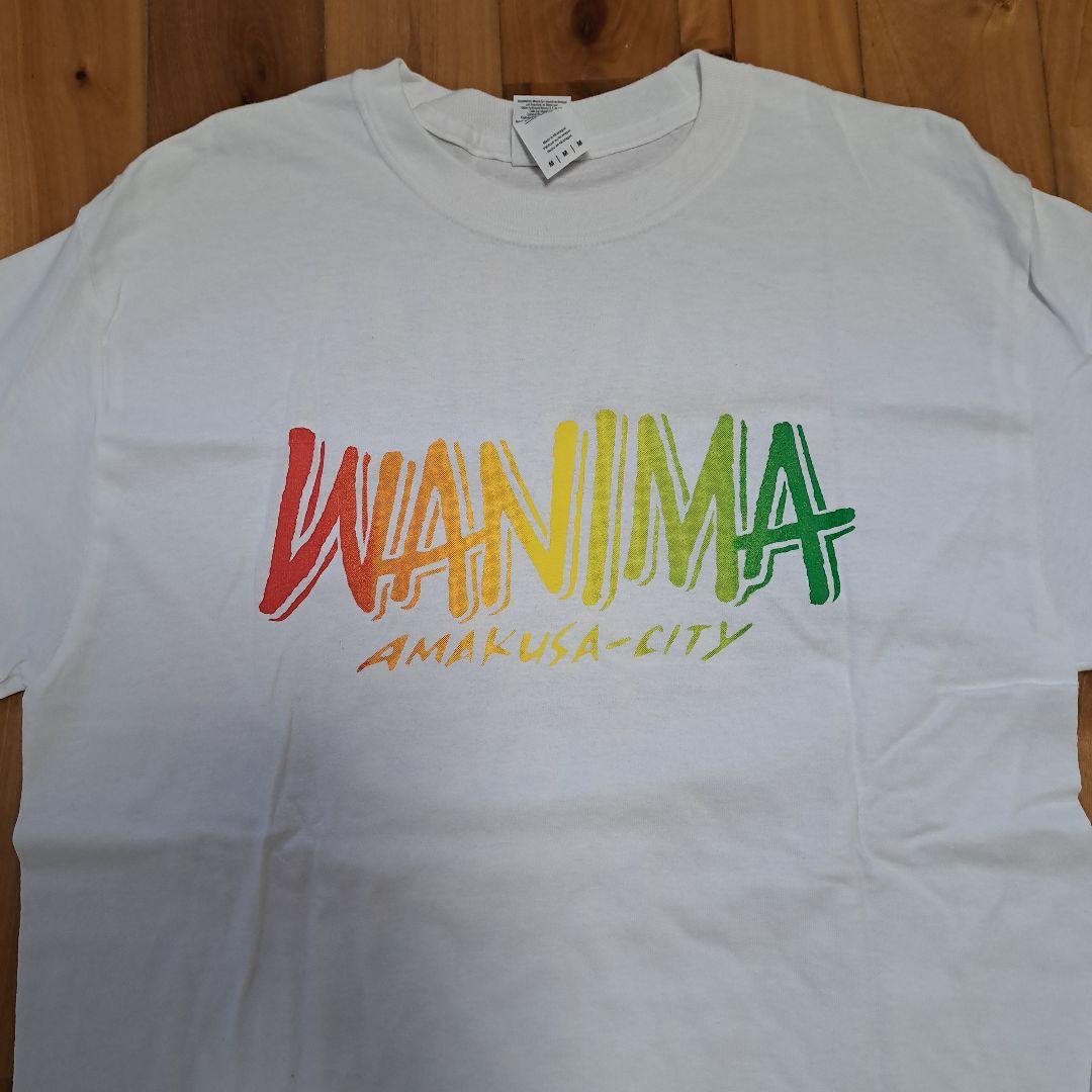 限定レア】WANIMA 天草限定 Tシャツ