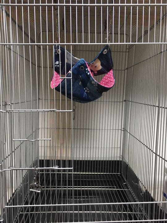 モモンガハウス(リアル・苺・籠柄)ボアピンク 2100円