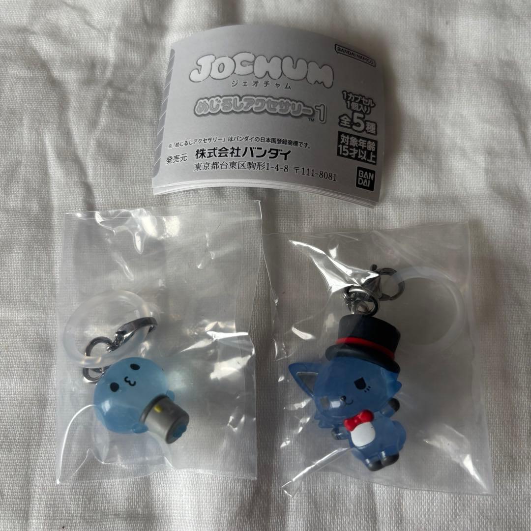 JOCHUM ジェオチャム マイクン レイン - メルカリ