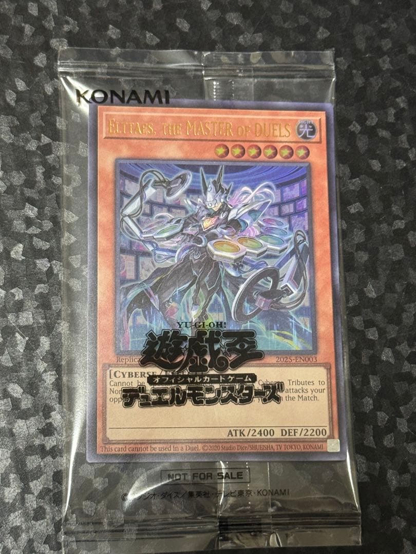 2025年日本選手権プロモ2種